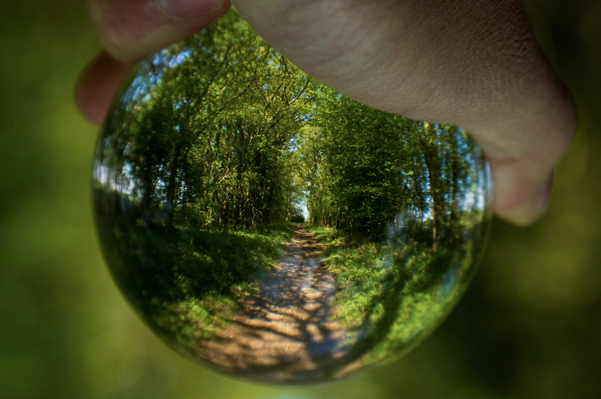 perspective